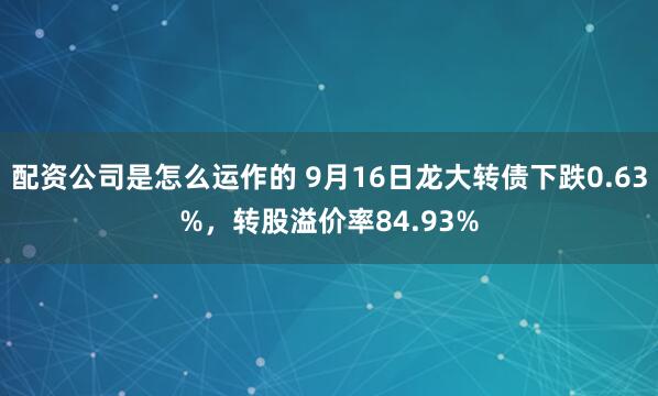 配资公司是怎么运作的 9月16日龙大转债下跌0.63%，转股溢价率84.93%