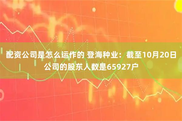 配资公司是怎么运作的 登海种业：截至10月20日公司的股东人数是65927户