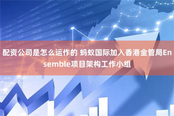 配资公司是怎么运作的 蚂蚁国际加入香港金管局Ensemble项目架构工作小组